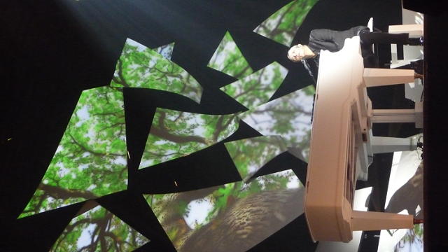 Cournon d'Auvergne (33)(1).JPG